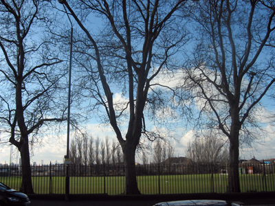 vue_de_reve.jpg, fév. 2009